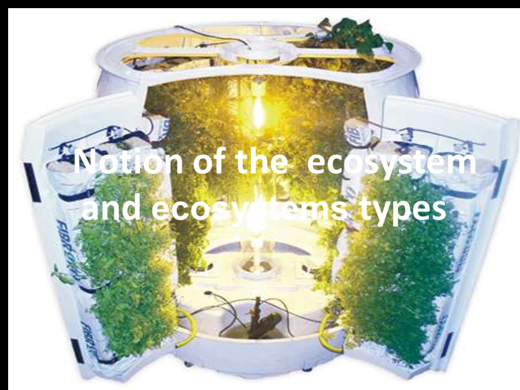 Notion of the ecosystem and its components Notion of the ecosystem and ecosystems types